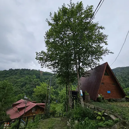 Elagza Dag Evi * Rize