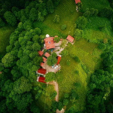 Elagza Dag Evi * Rize