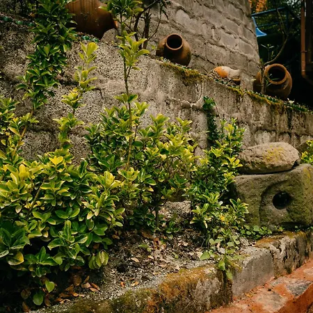 Elagza Dag Evi Lodge Rize